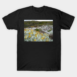 Golden blooms of cold T-Shirt